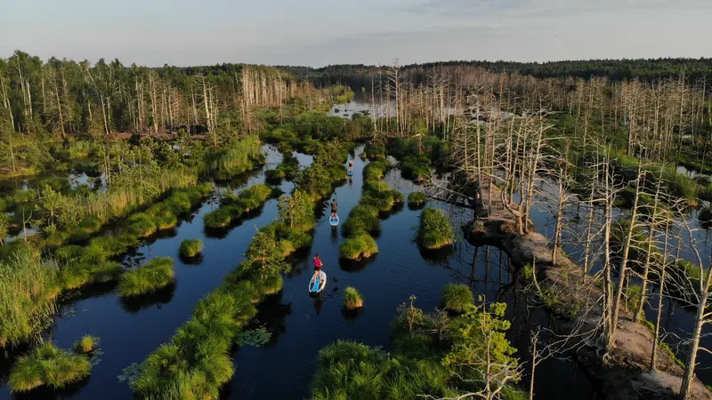 Boards You SUP adventure in Smarde swamp