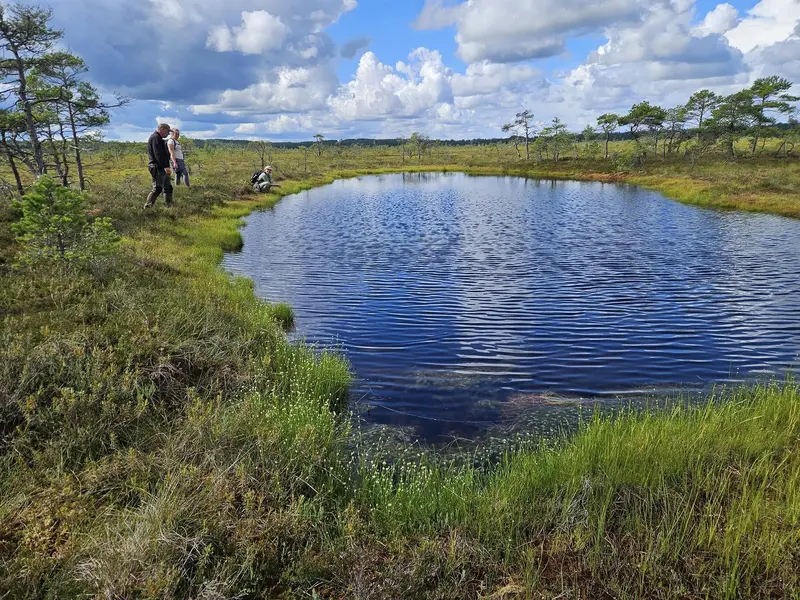 hike bog soomaa active nature