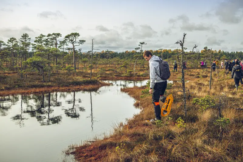 Wanderlust Estonia bog hike nature outdoors