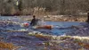 indietours high water kayaking adventure in tallinn fun