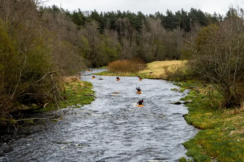 indietours high water kayaking adventure in tallinn