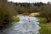 indietours high water kayaking adventure in tallinn