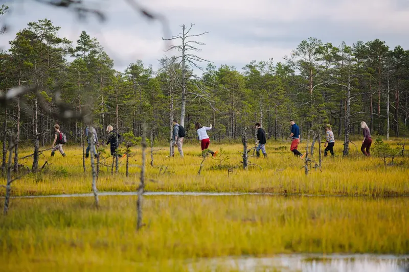 adventures mystical bog hike pop up restaurant bogshoeing