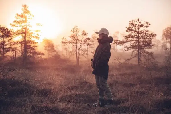 indietours sunset bog