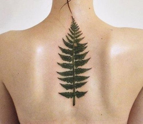 Feminine Fern Along the Upper Back tattoo