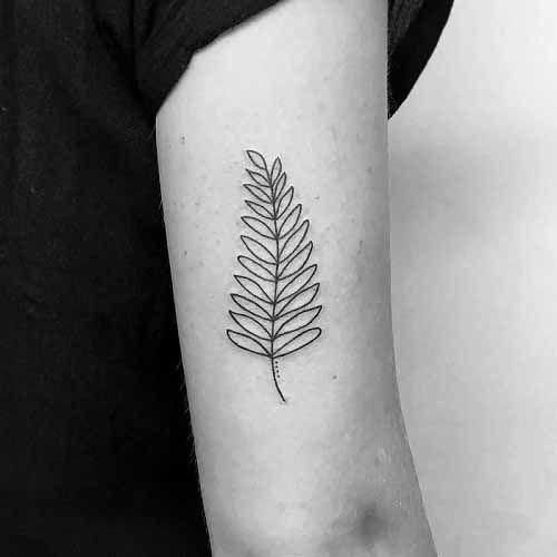 Simple Fern Outline tattoo