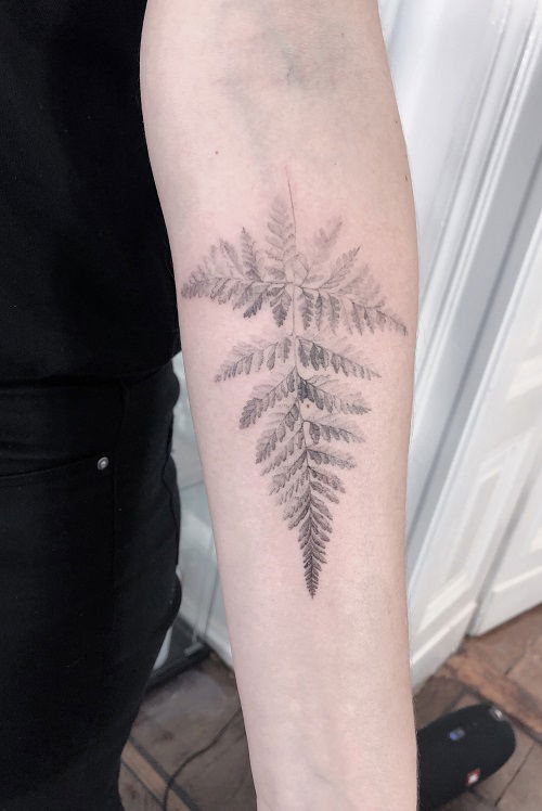 Light Fern Tattoo tattoo