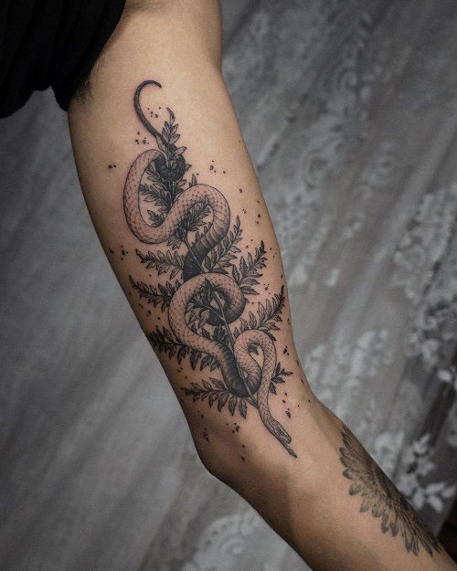 Snake Wrapped Around a Fern Leaf Tattoo