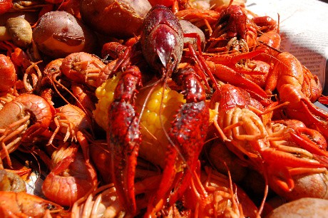 boiledcrawfish076