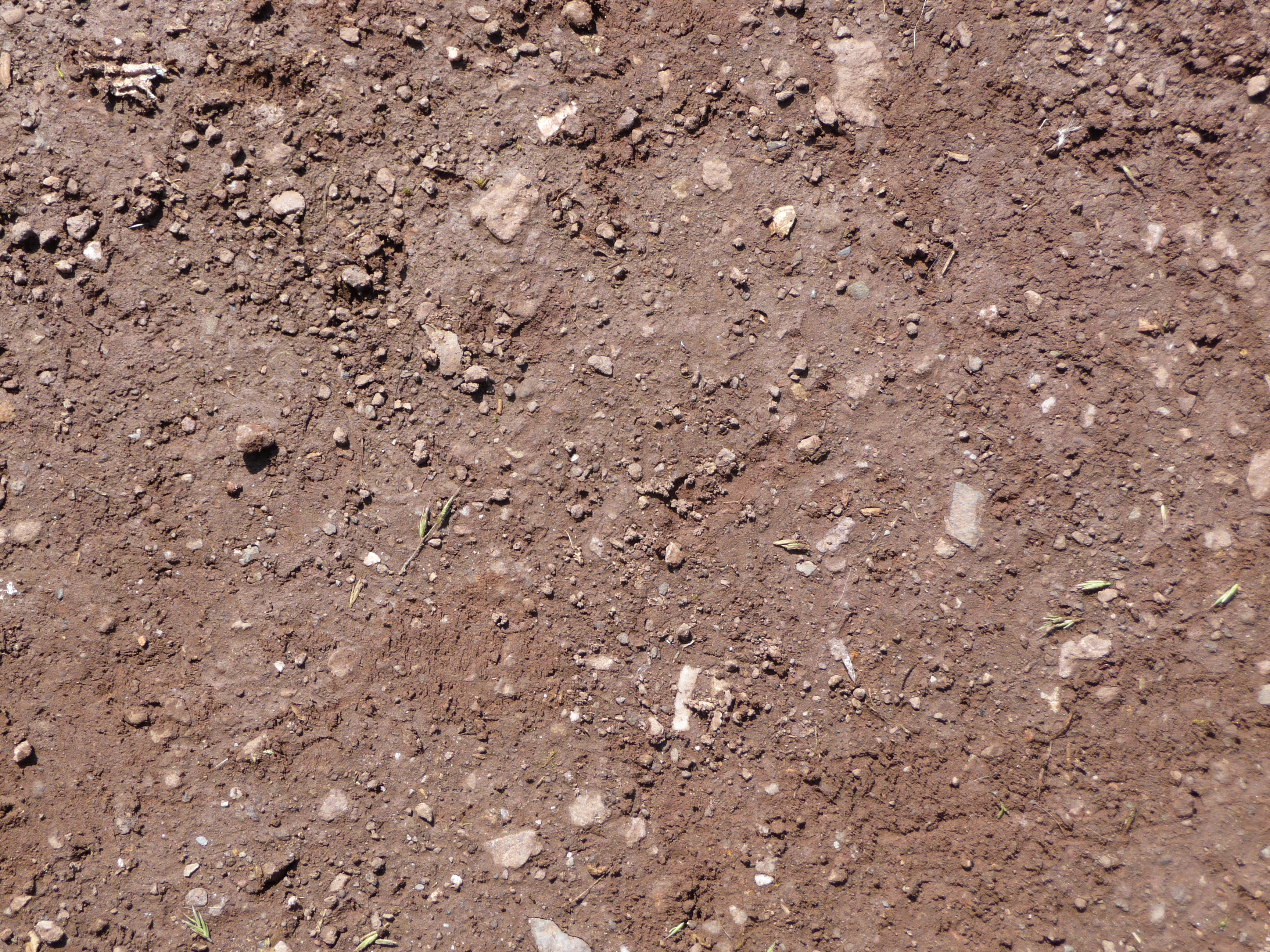 texture ground earth, download photo, background, ground texture