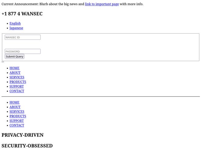 The website screenshot for http://wansecurity.com