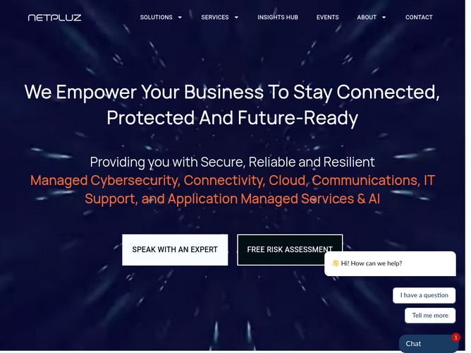 The website screenshot for https://www.netpluz.asia