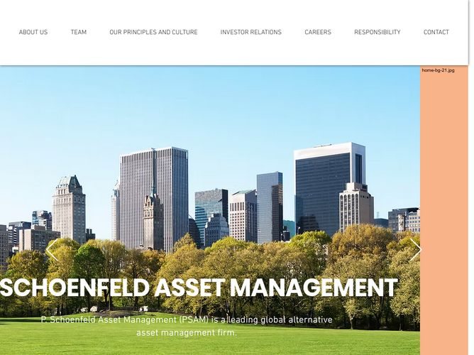 The website screenshot for http://psam.com