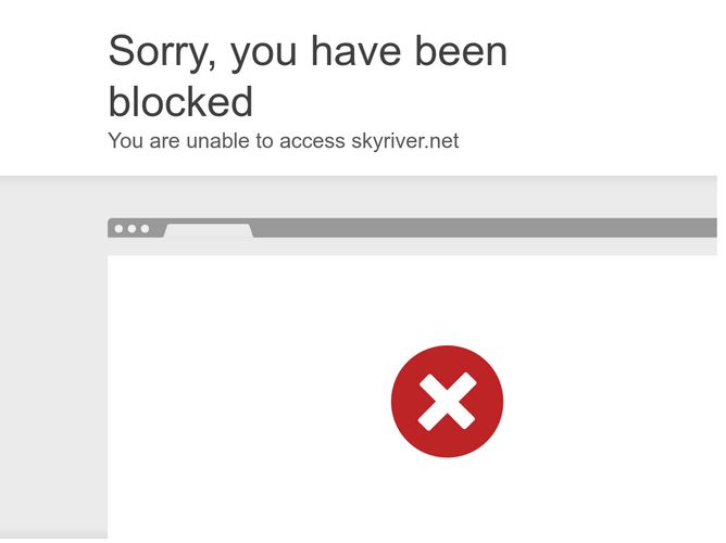 The website screenshot for http://www.skyriver.net