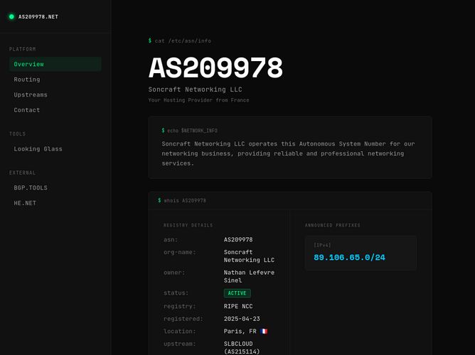 The website screenshot for https://as209978.net/