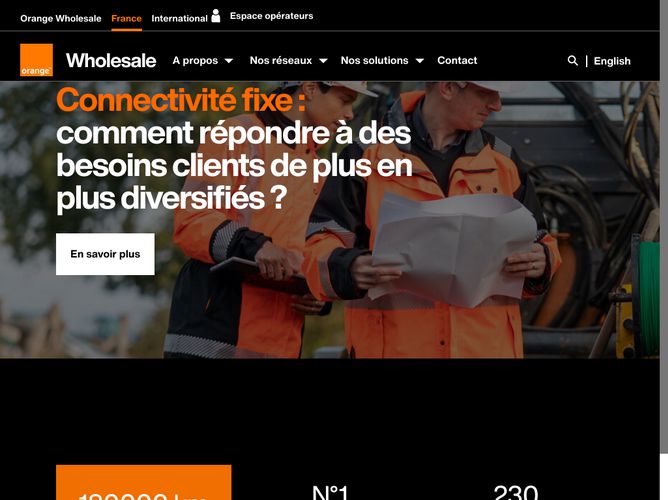 The website screenshot for https://wholesale.orange.com/france/fr/