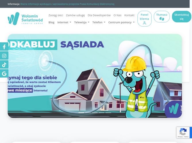 The website screenshot for http://www.toneticgroup.pl