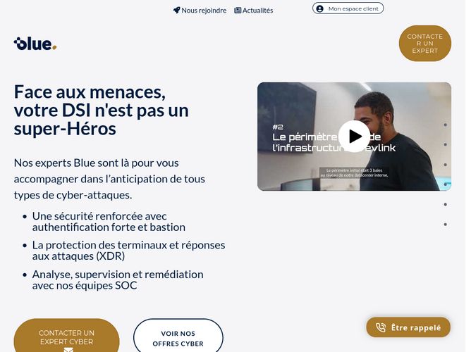The website screenshot for https://www.bt-blue.com/