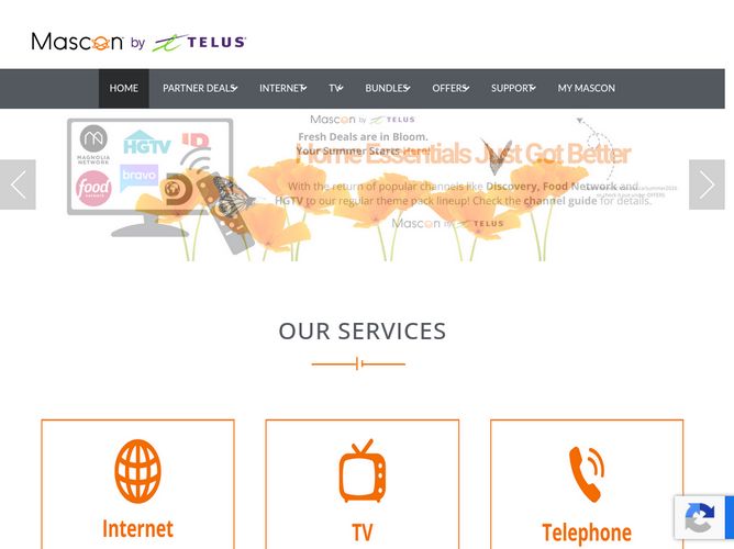 The website screenshot for http://www.netago.ca
