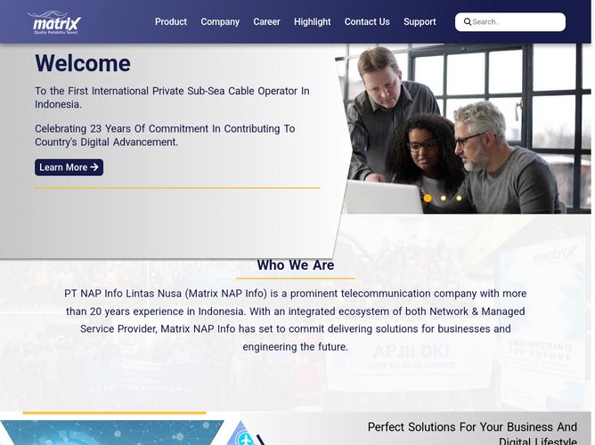 The website screenshot for https://www.napinfo.co.id