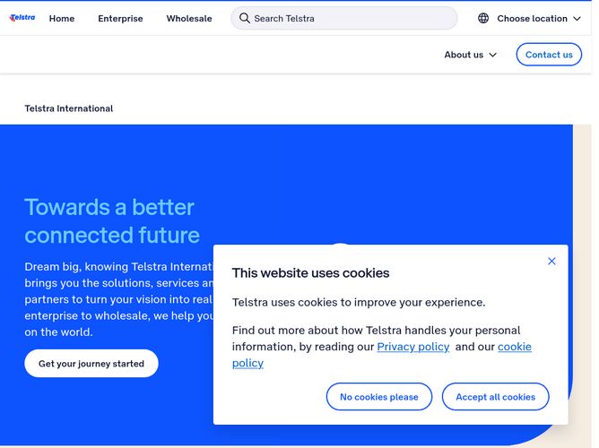 The website screenshot for http://www.telstrainternational.com