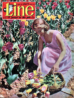 Couverture du numero 217