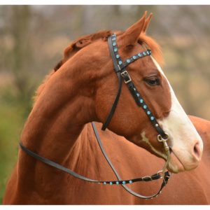 Types of bridle