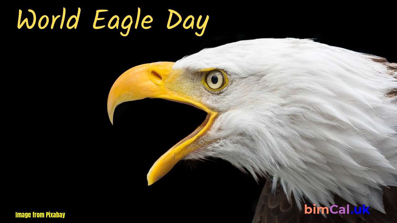 World Eagle Day 2024