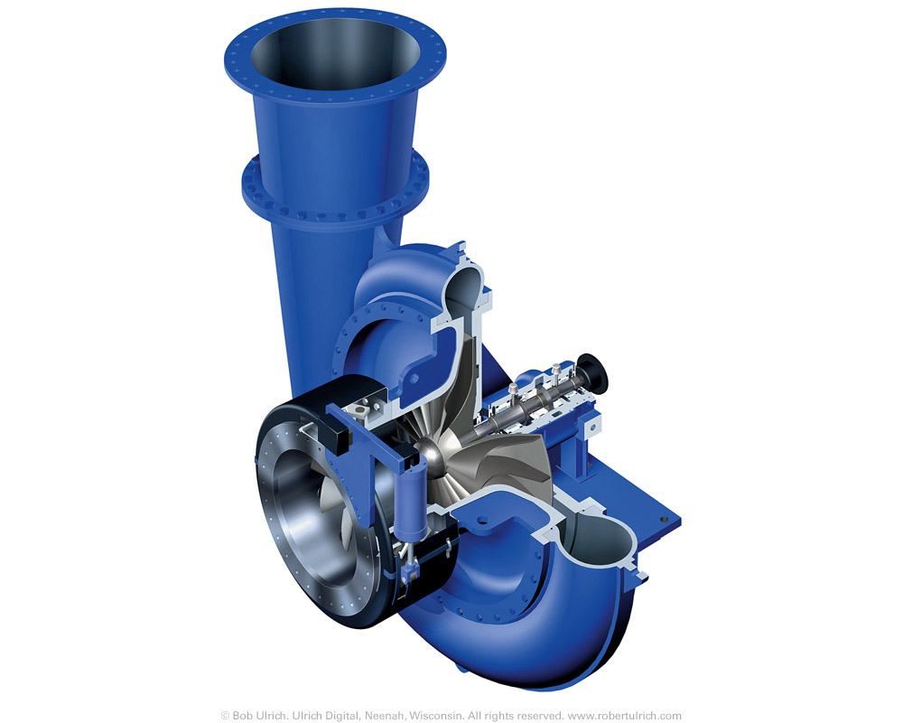 Cutaway Diagram For Kids