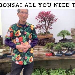 {nmrbonsai1} - #1 Bonsai Expert