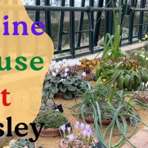 Alpine House - RHS Wisley