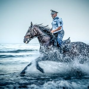 Wild Gallop in The Water