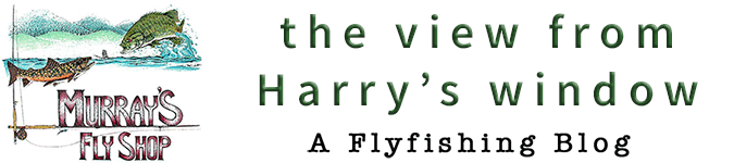 The View From Harry's Window – A Fly Fishing Blog