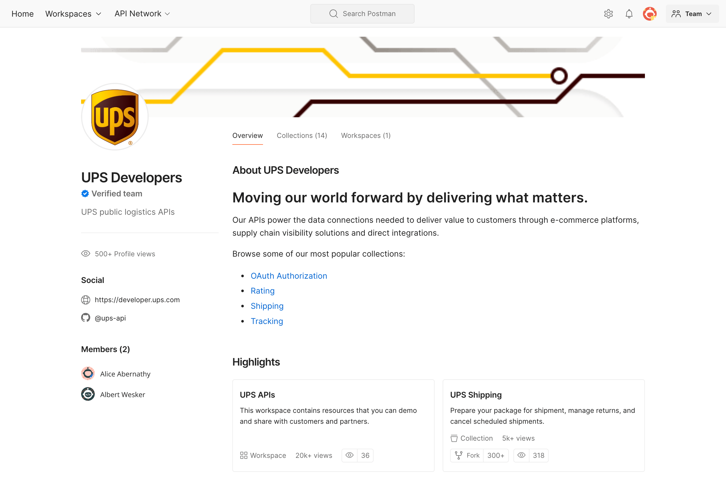 Postman public api network verified teams