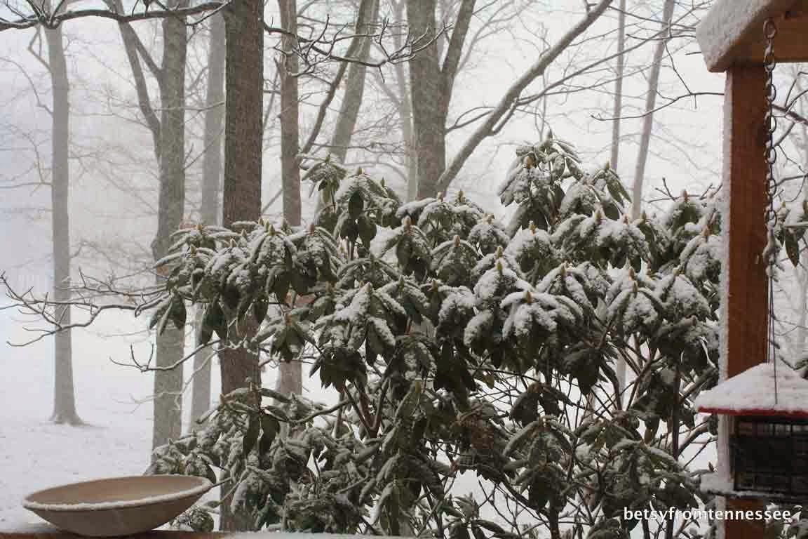 Snow in Tennessee