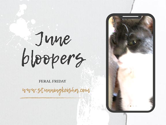 June bloopin' is much like May misfires. Feral Friday: June Bloopin'