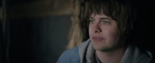Color Out of Space (2020) starring Brendan Meyer