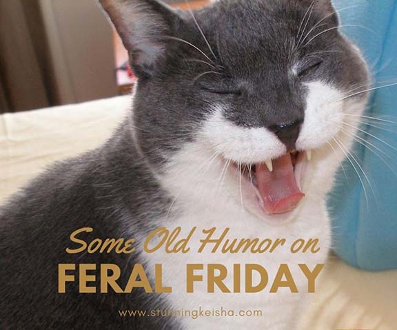 I'm always laughing at the peeps. Some Old Humor on Feral Friday
