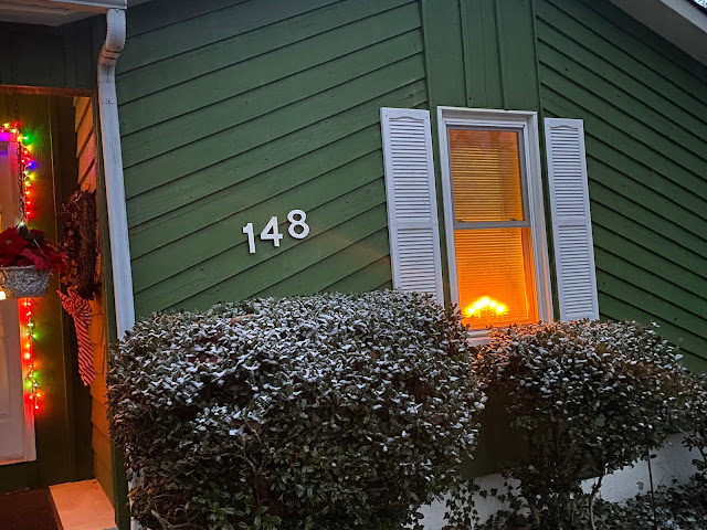 Snow on the Holly Bushes 11/30/20