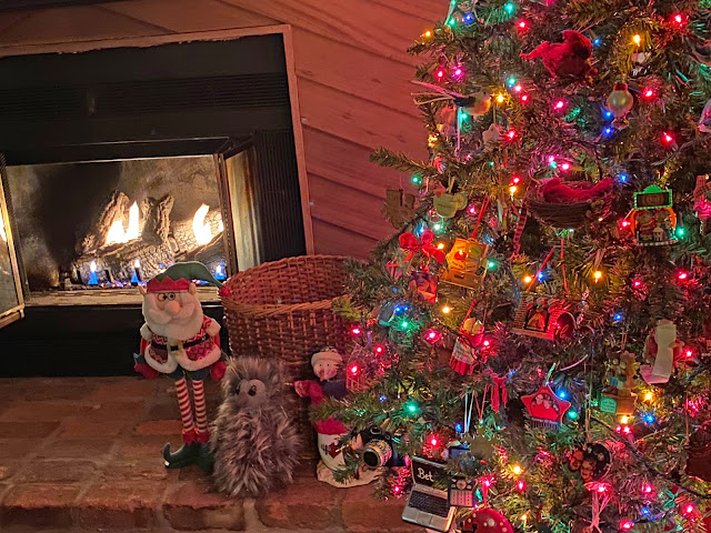 Come inside and enjoy the warmth of the fireplace on a cold, snowy evening (11/30/20).