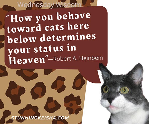 Cat abusers should go to hell. CK Presents Wednesday Wisdom