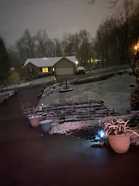 Front yard after dark, 11/30/20