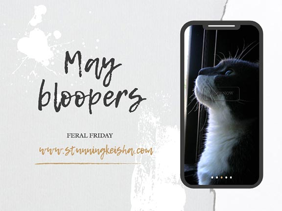 Making creative bloopers. Feral Friday: May Bloopers