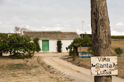 Viña 'Santa Luisa'