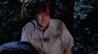 Ron Asheton in Mosquito (1995)