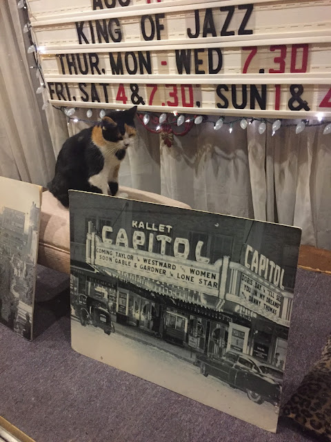 Kallie the Capitol Theatre cat Kallie the Capitol Theatre cat