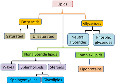 Classification of lipids