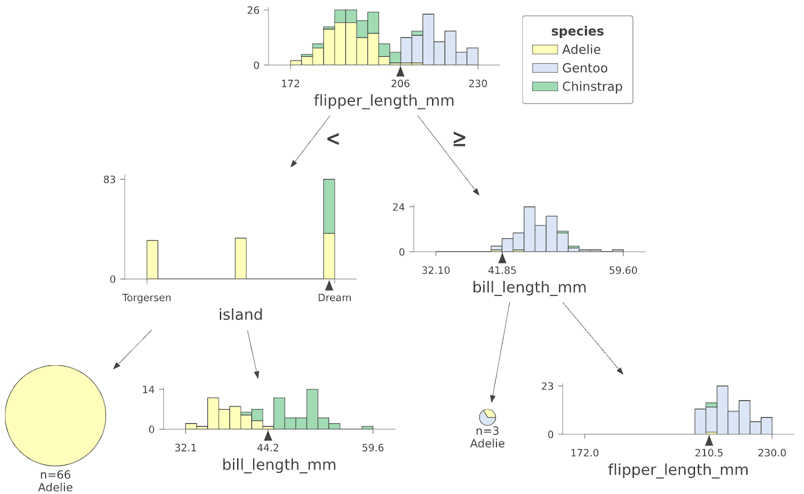 Illustration of the first few levels of a classification tree from a Random Forest trained on the Penguin data set