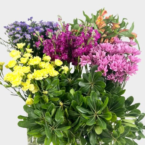 Wholesale flowers prices - buy DIY Wildflower Bouquet Bar Pack in bulk