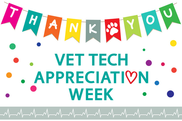 Vet Tech Appreciation Week